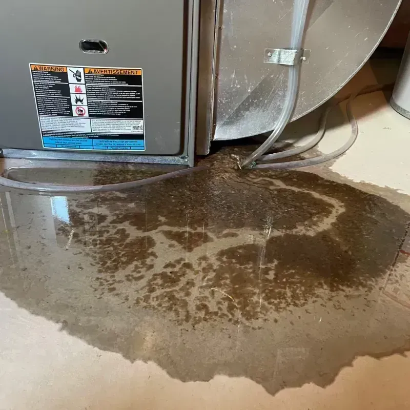 Appliance Leak Cleanup in Simpson County, KY